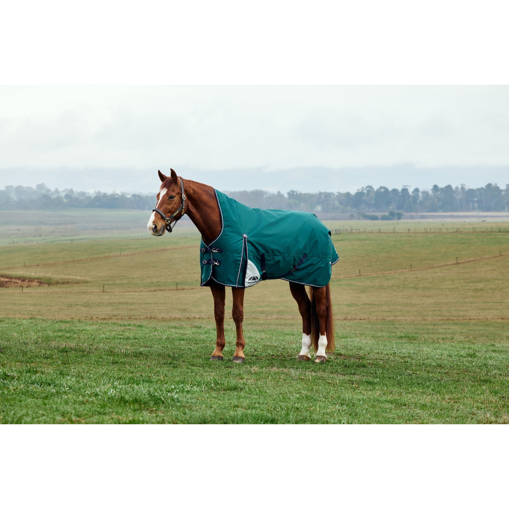 Weatherbeeta ComFiTec Plus Dynamic Turnout High Neck 220g