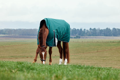 Weatherbeeta ComFiTec Plus Dynamic Turnout High Neck 220g