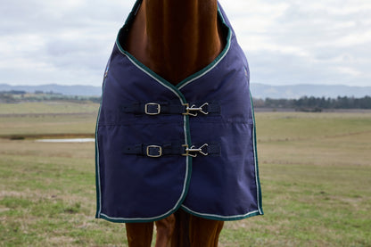 Weatherbeeta ComFiTec Plus Dynamic Turnout Standard Neck 220g
