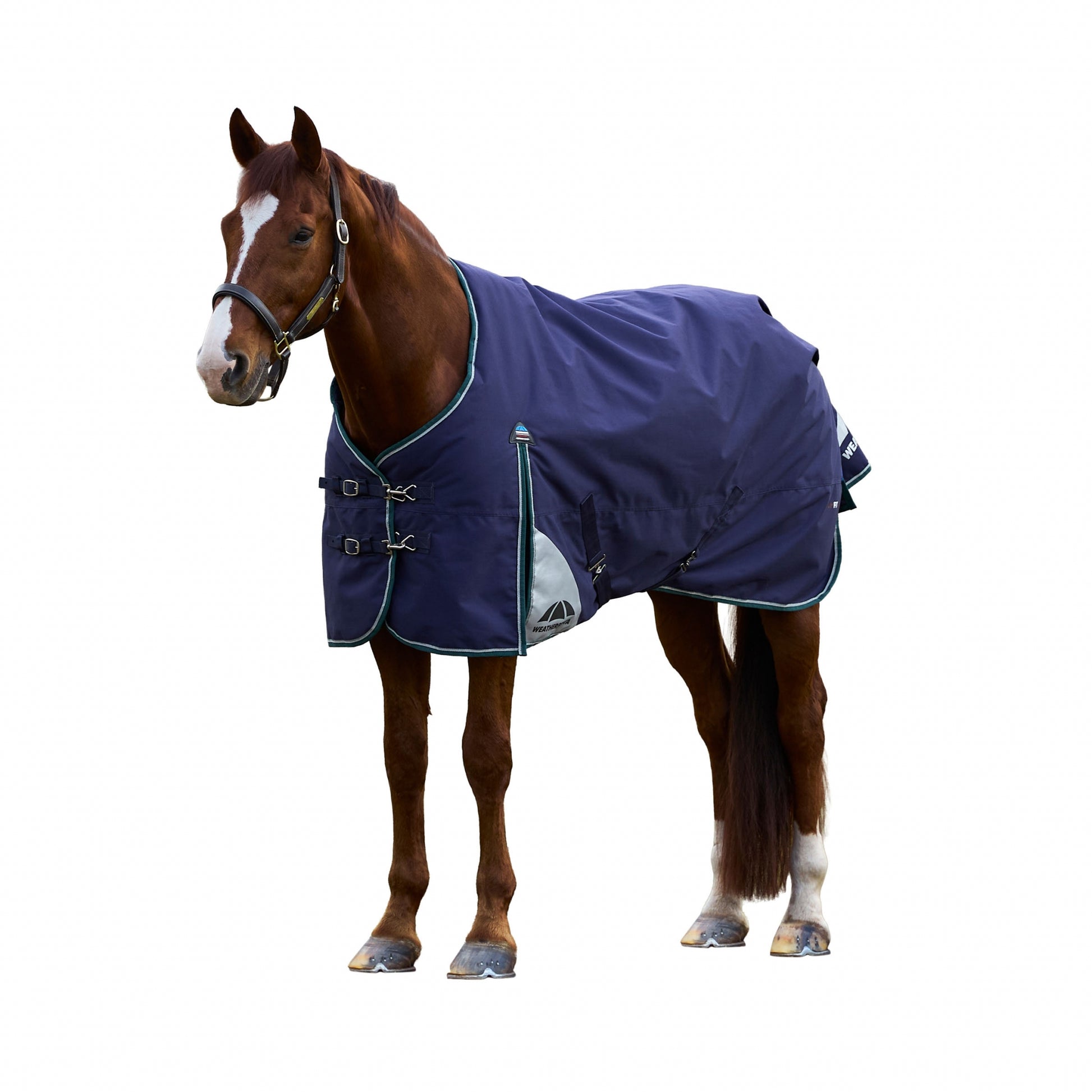 Weatherbeeta ComFiTec Plus Dynamic Turnout Standard Neck 220g