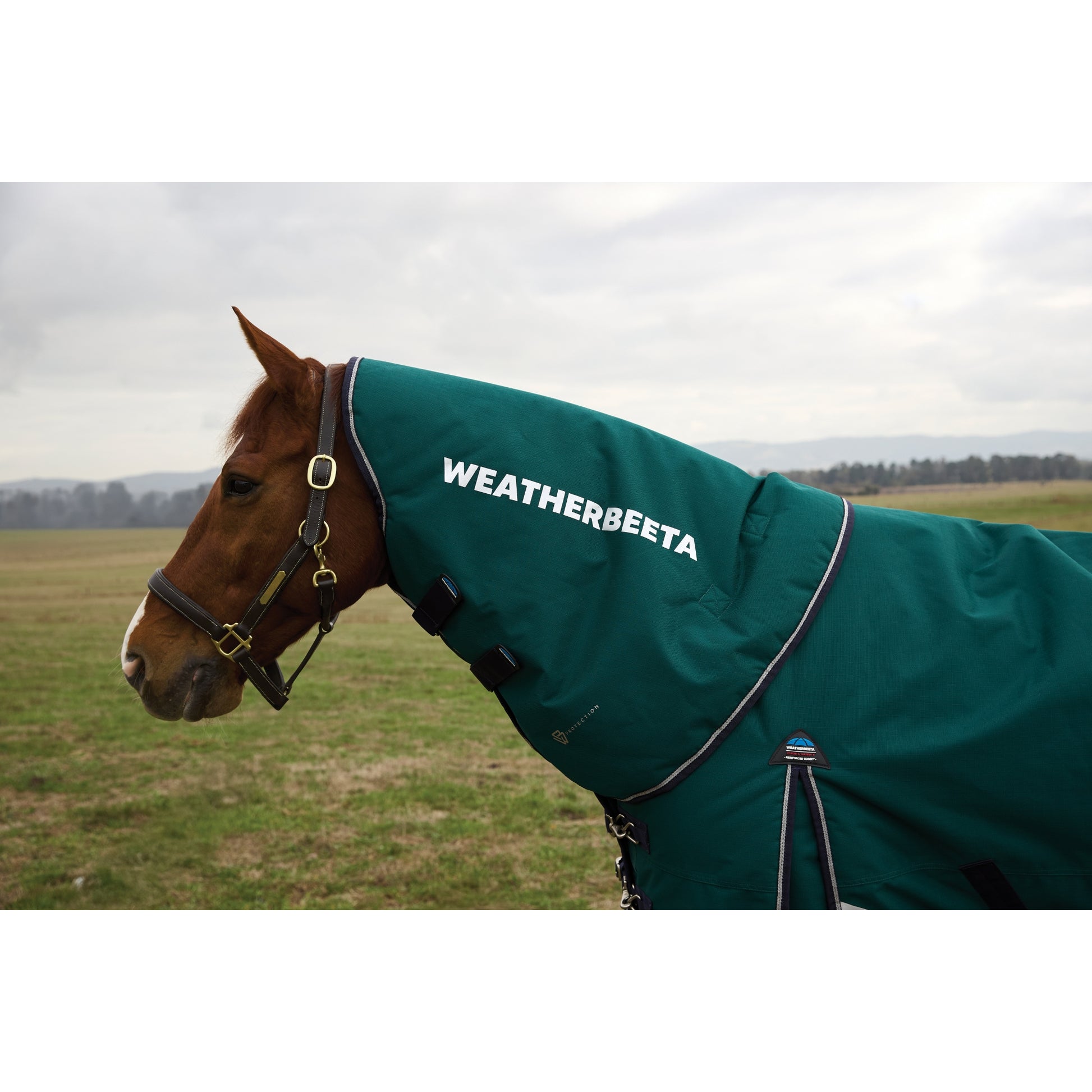 Weatherbeeta ComFiTec Plus Dynamic Turnout Neck Cover 220g