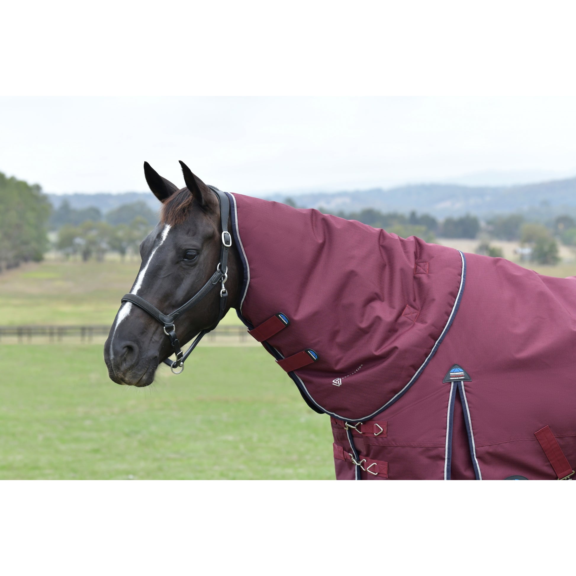 Weatherbeeta ComFiTec Essential Turnout Detach-A-Neck 220g