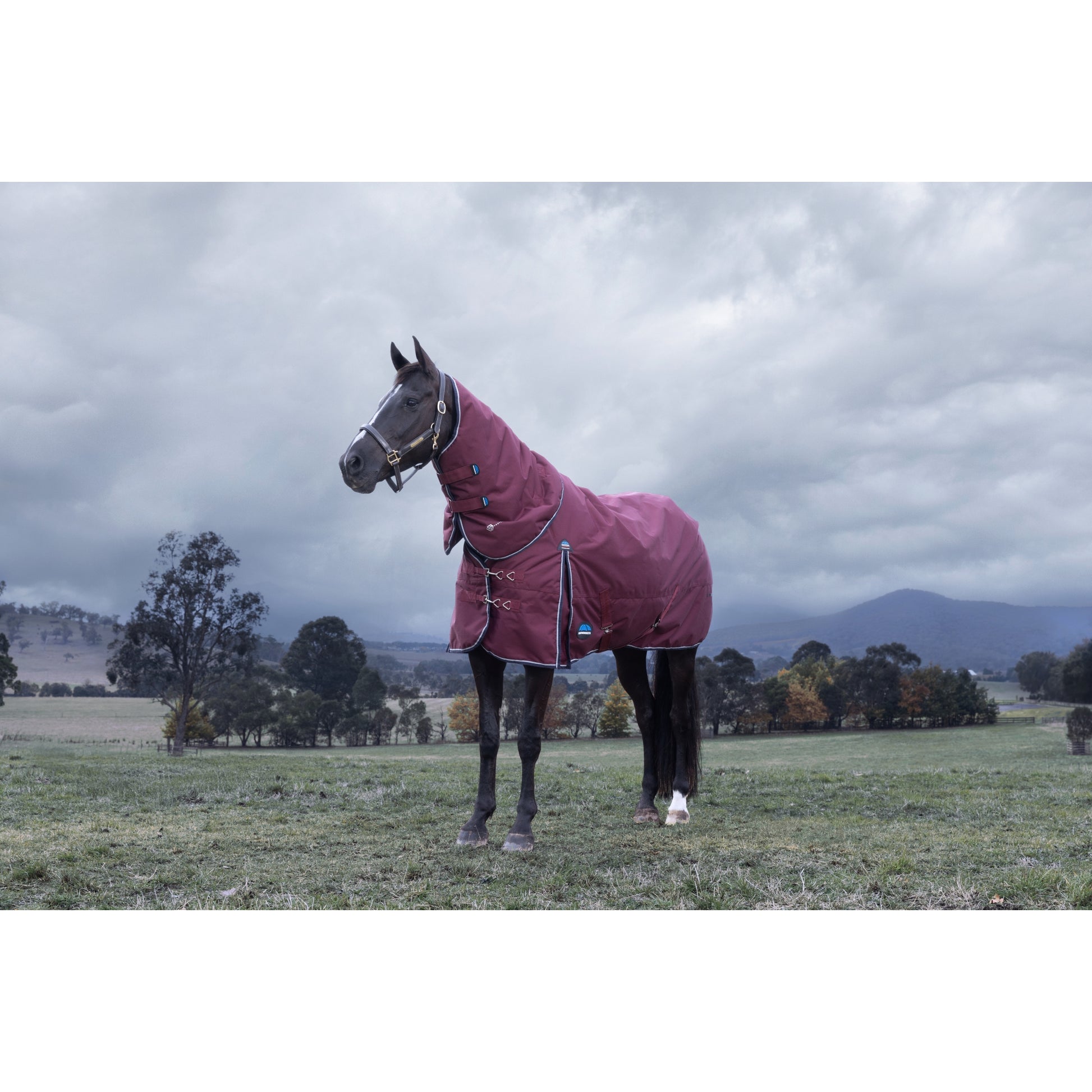 Weatherbeeta ComFiTec Essential Turnout Detach-A-Neck 220g