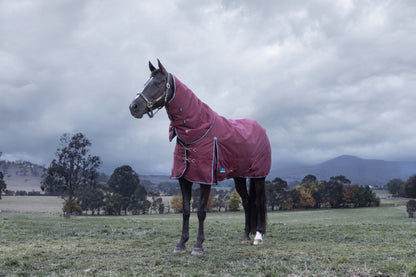 Weatherbeeta ComFiTec Essential Turnout Detach-A-Neck 220g