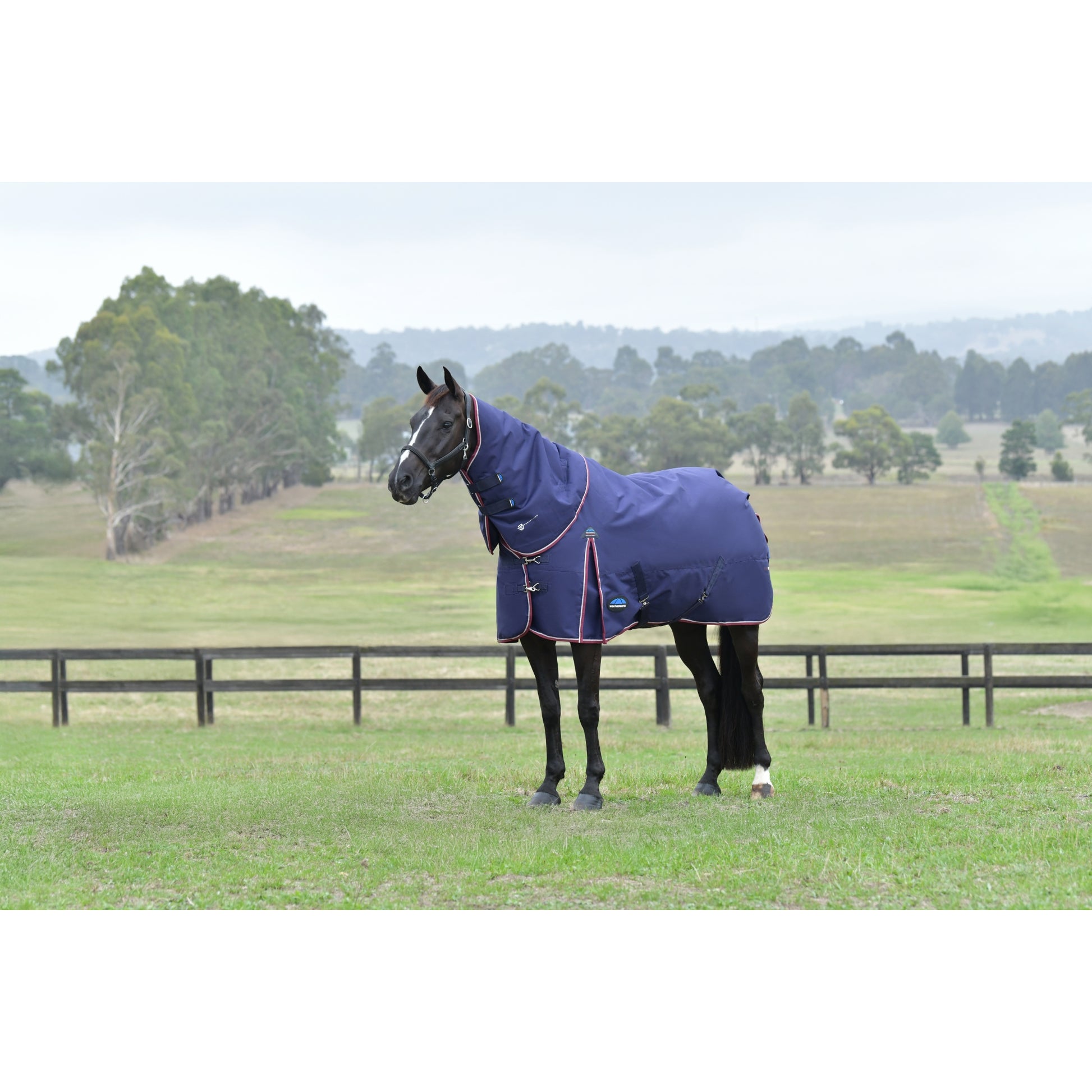 Weatherbeeta ComFiTec Essential Turnout Detach-A-Neck 220g
