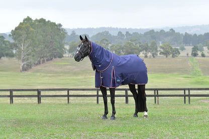 Weatherbeeta ComFiTec Essential Turnout Detach-A-Neck 220g