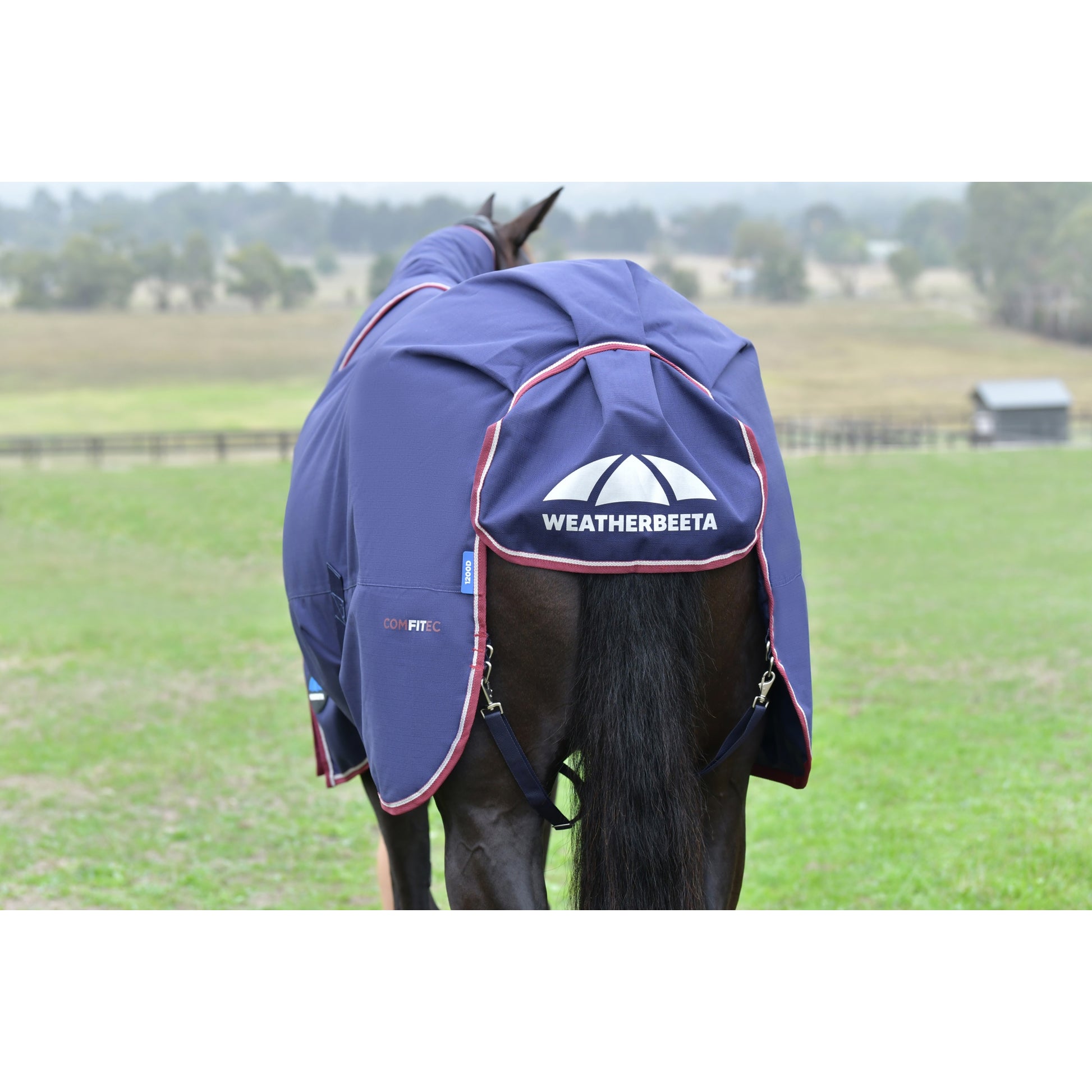 Weatherbeeta ComFiTec Essential Turnout Detach-A-Neck 220g