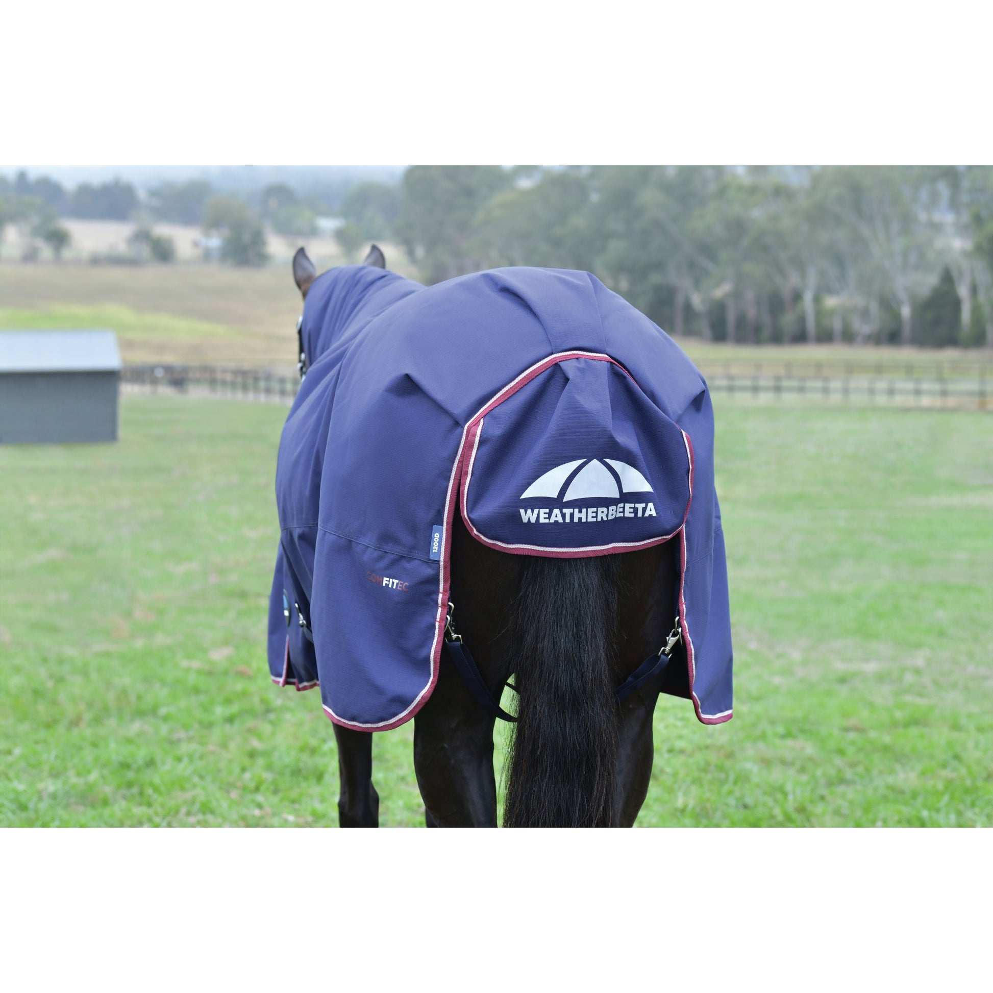 Weatherbeeta ComFiTec Essential Turnout Standard Neck 220g