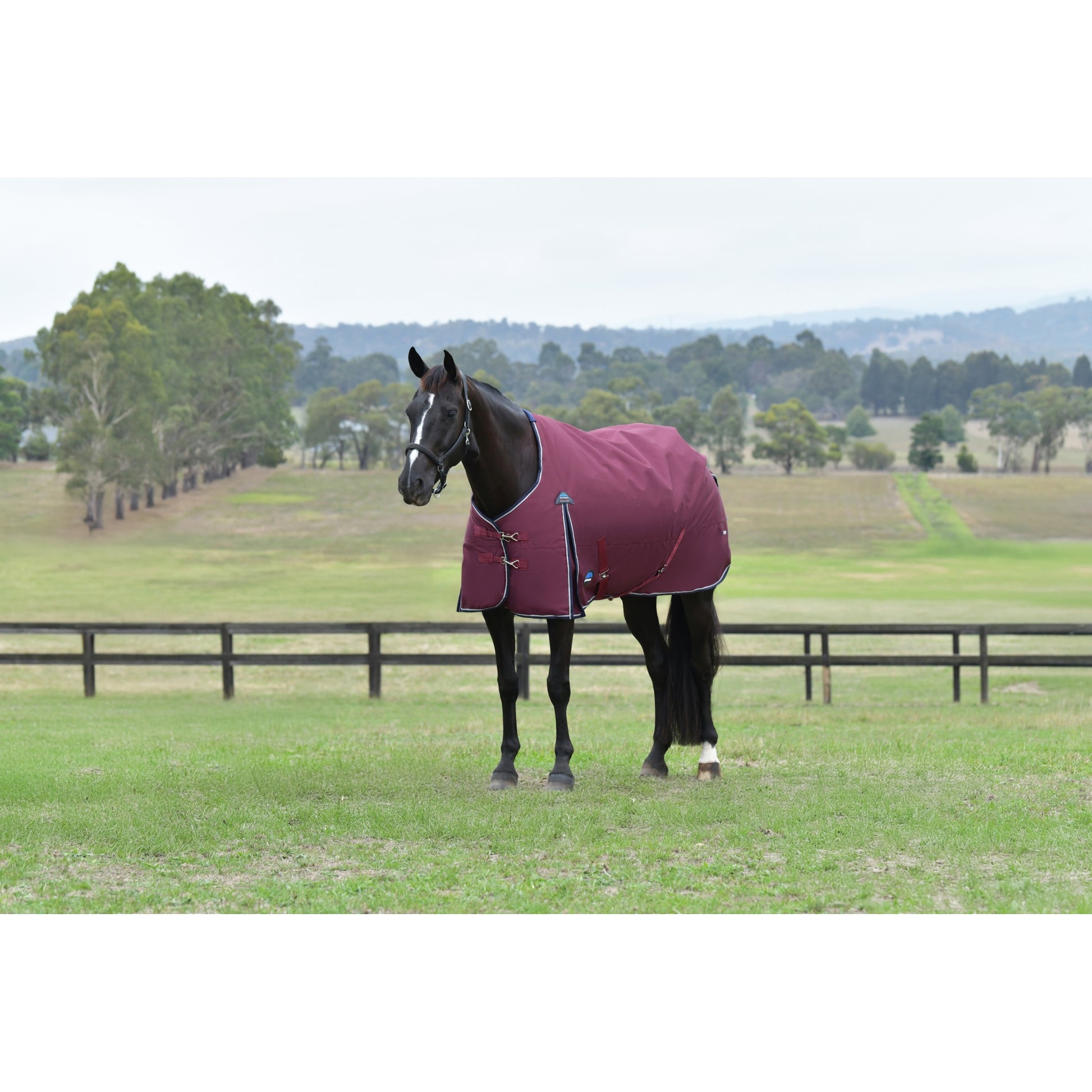 Weatherbeeta ComFiTec Essential Turnout Standard Neck 0g