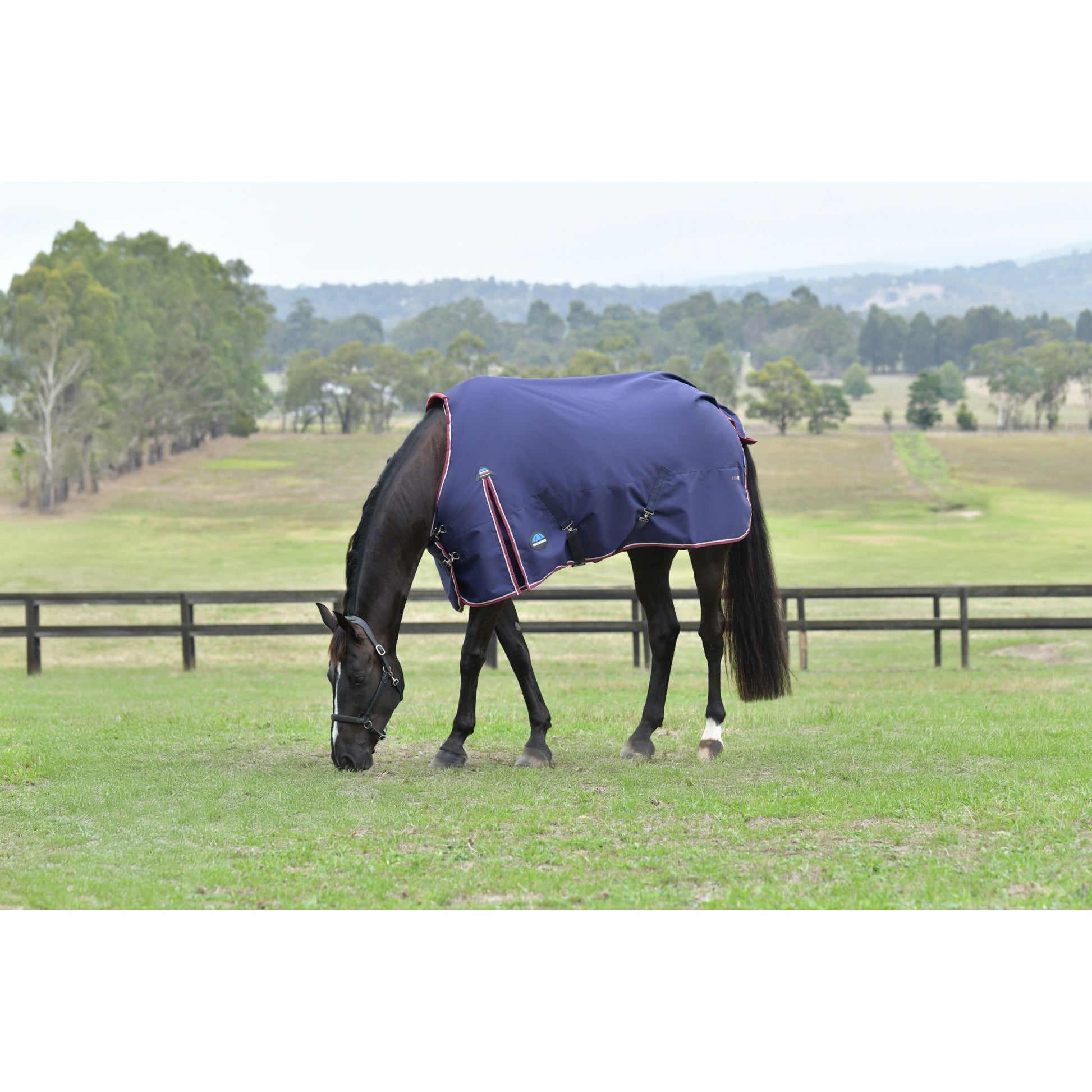 Weatherbeeta ComFiTec Essential Turnout Standard Neck 0g