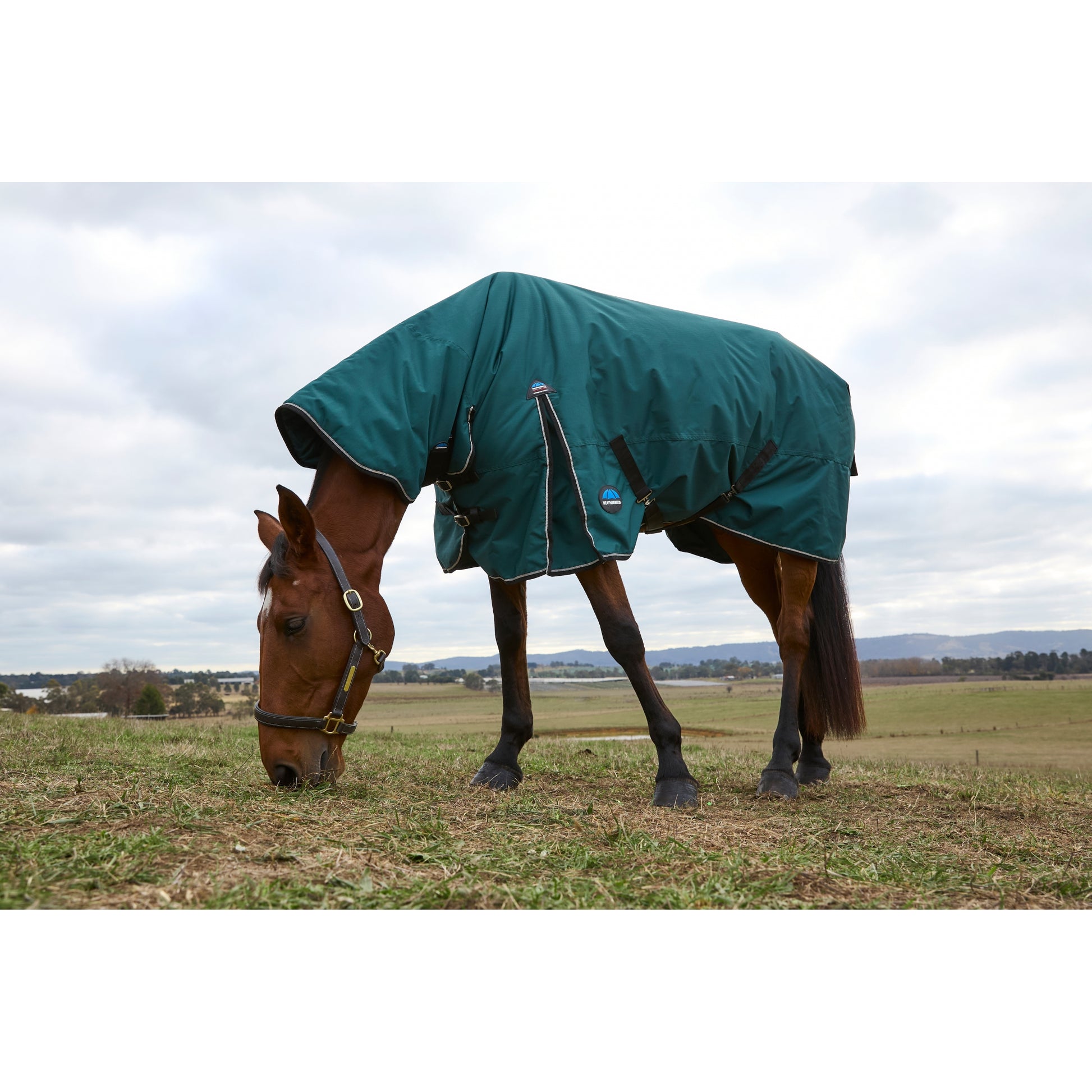 Weatherbeeta ComFiTec Classic Turnout Combo Neck 220g