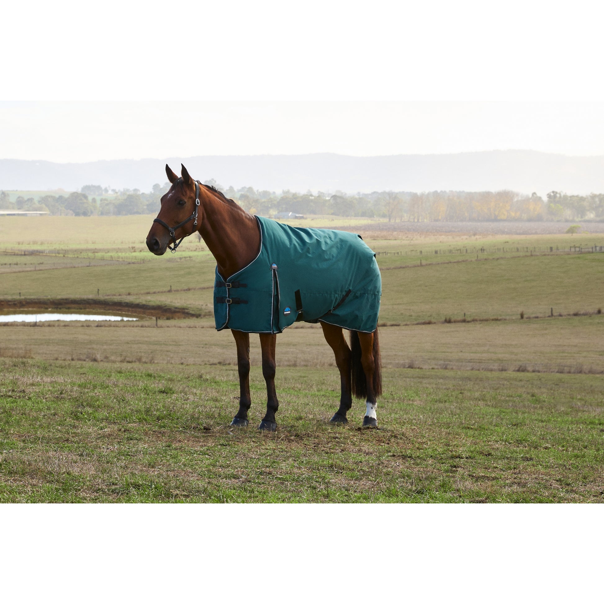 Weatherbeeta ComFiTec Classic Turnout Standard Neck 220g