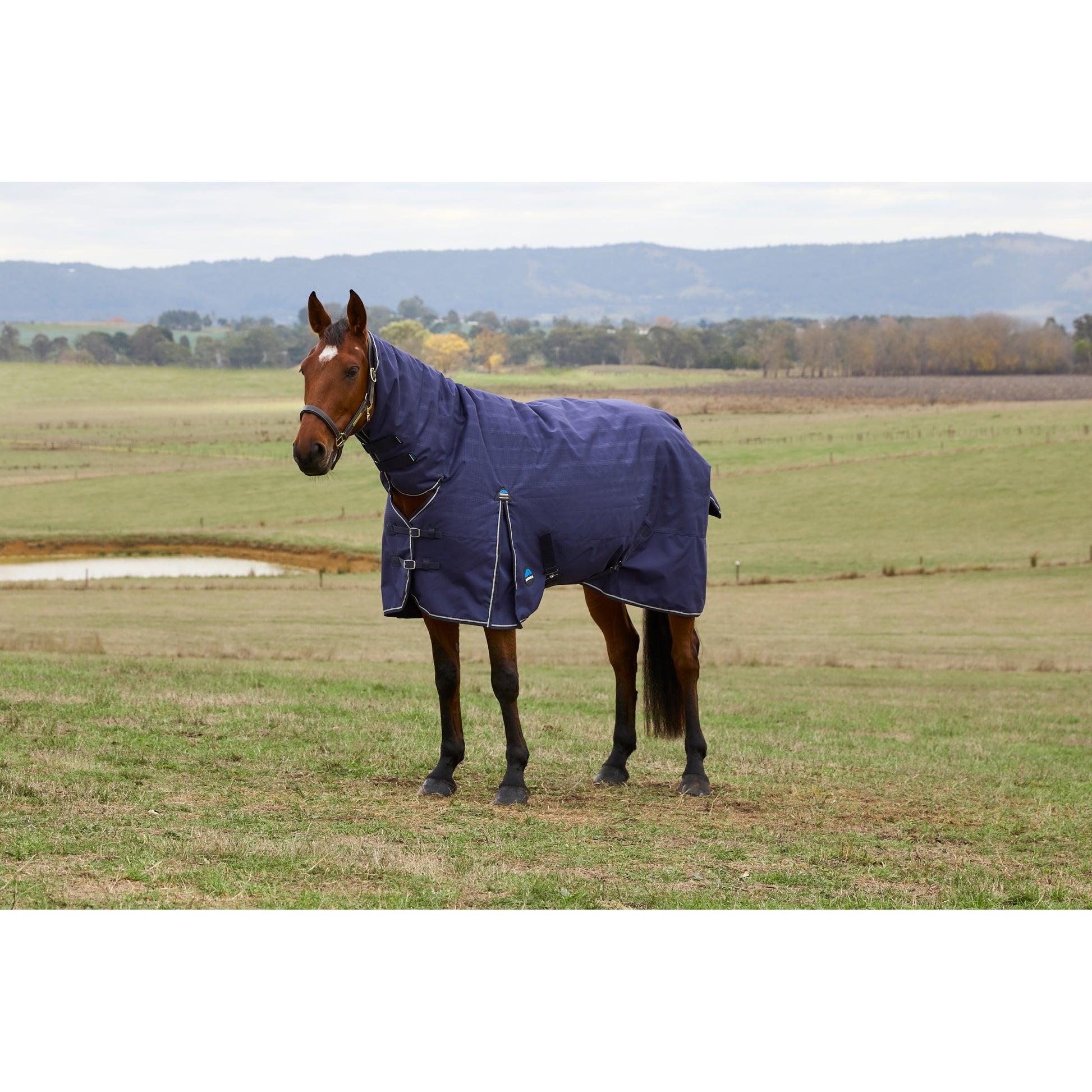 Weatherbeeta ComFiTec Prelim Turnout Combo Neck 220g