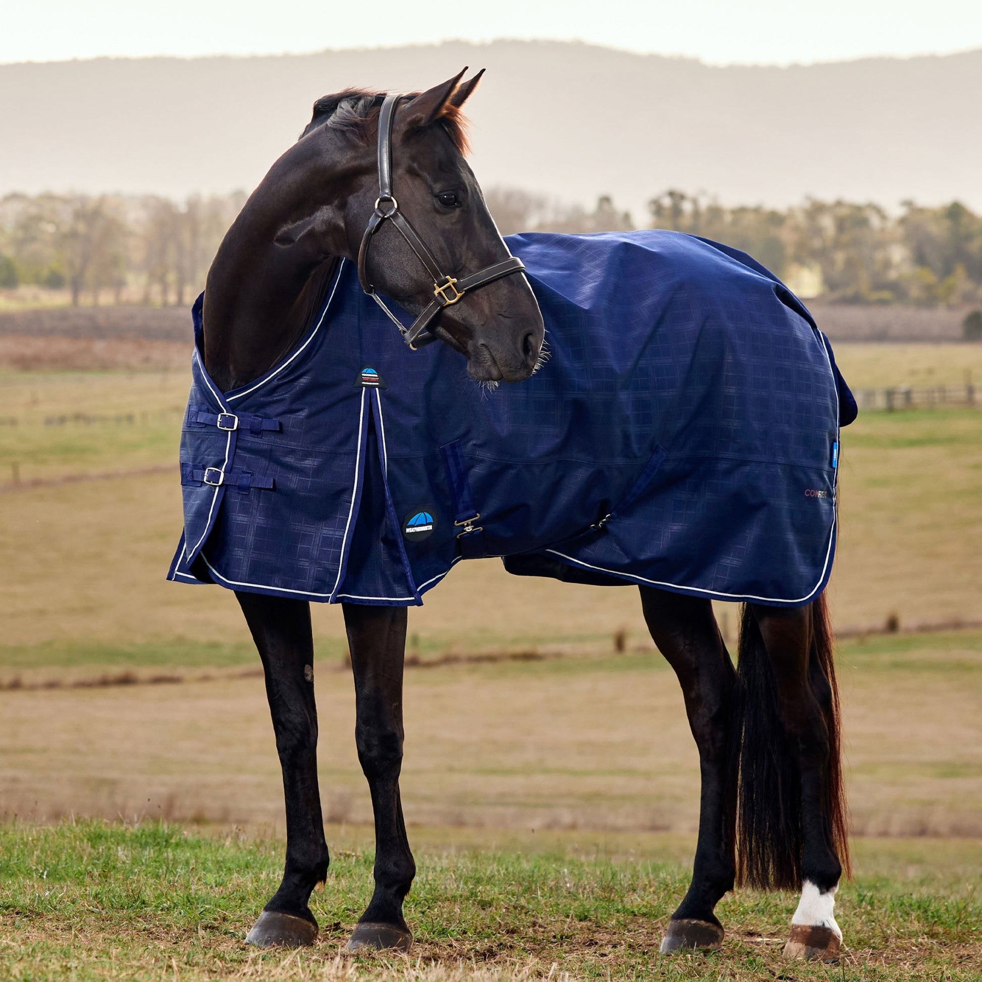 Weatherbeeta ComFiTec Prelim Turnout Standard Neck 220g