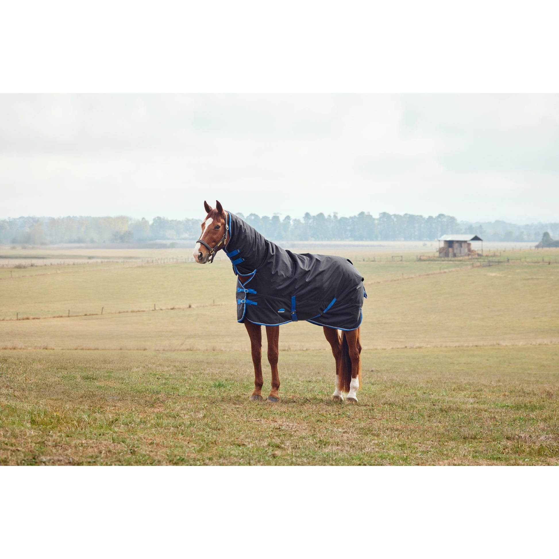 Weatherbeeta ComFiTec Tyro Turnout Combo Neck 220g