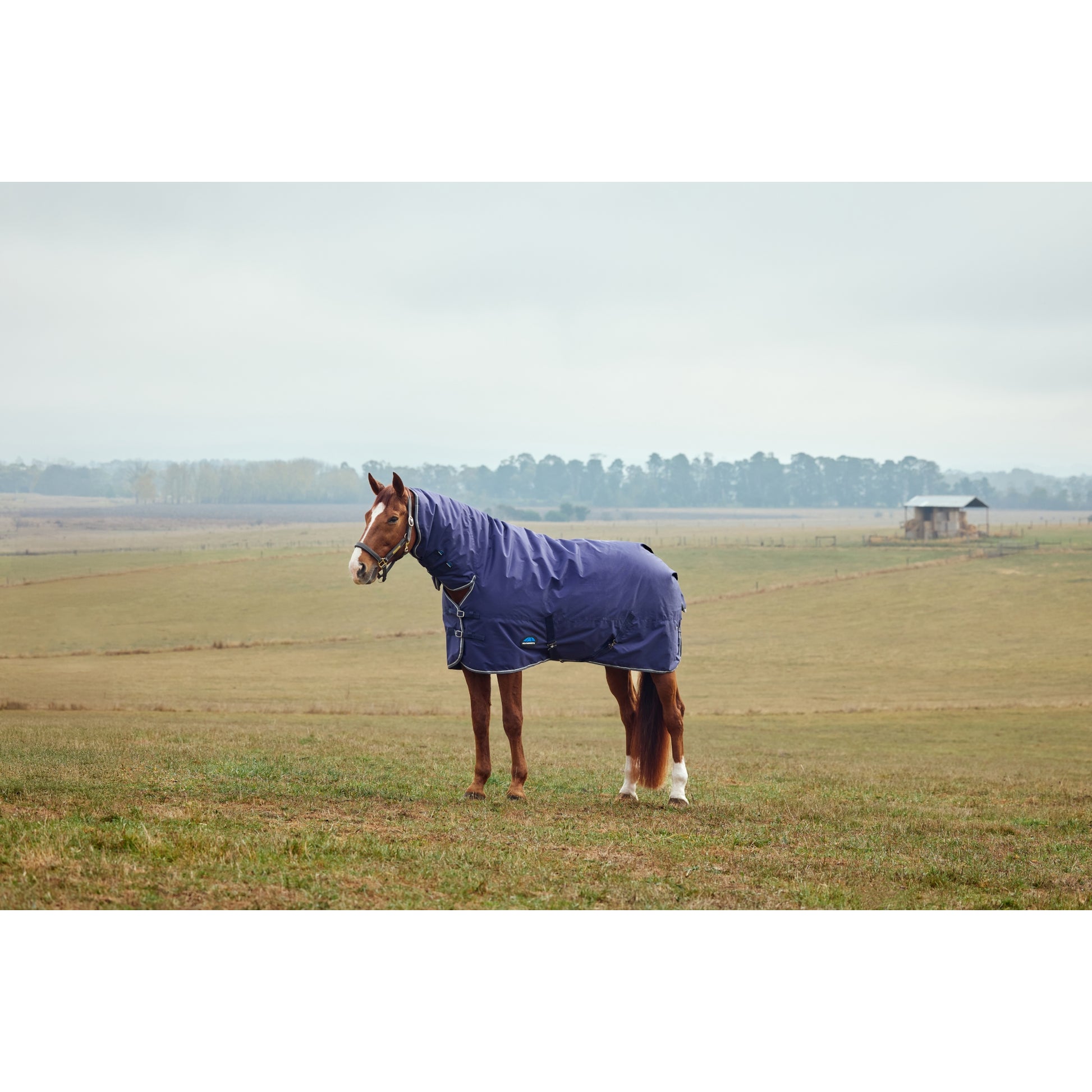 Weatherbeeta ComFiTec Tyro Turnout Combo Neck 220g