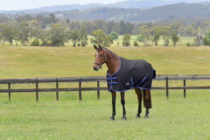 Weatherbeeta ComFiTec Tyro Turnout Standard Neck 220g