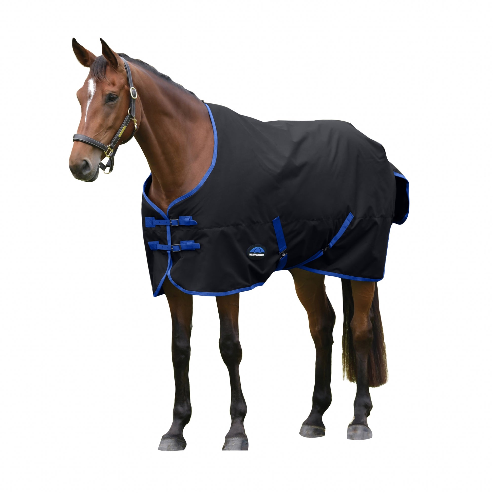 Weatherbeeta ComFiTec Tyro Turnout Standard Neck 220g