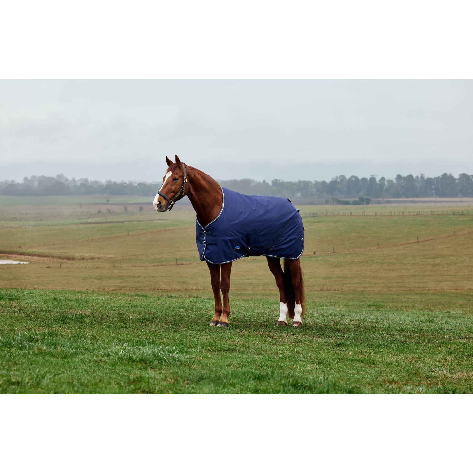 Weatherbeeta ComFiTec Tyro Turnout Standard Neck 220g