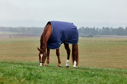 Weatherbeeta ComFiTec Tyro Turnout Standard Neck 220g