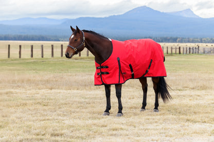 Weatherbeeta ComFiTec Original Turnout Standard Neck 220g