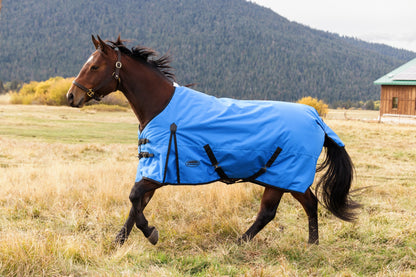 Weatherbeeta ComFiTec Original Turnout Standard Neck 220g