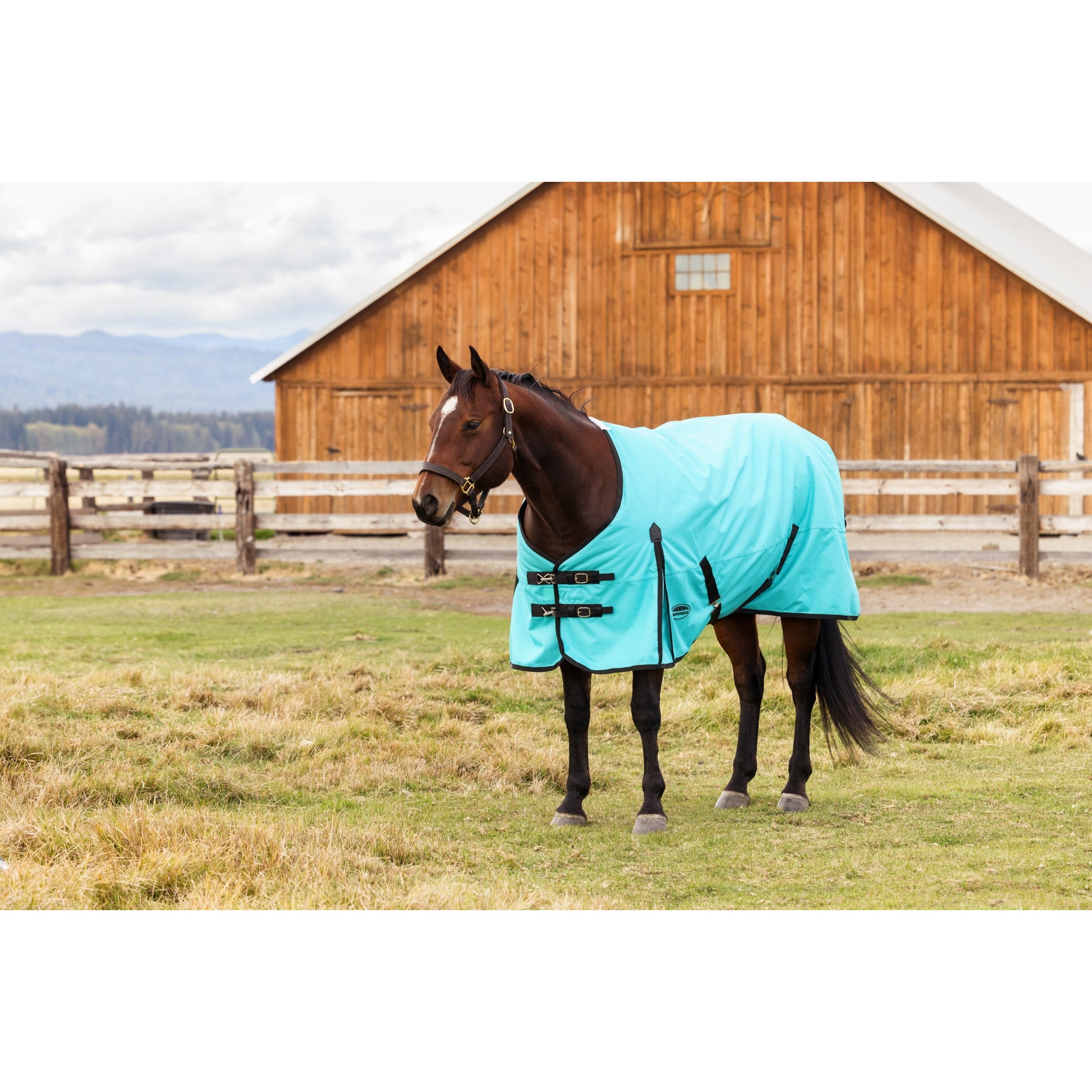 Weatherbeeta ComFiTec Original Turnout Standard Neck 220g