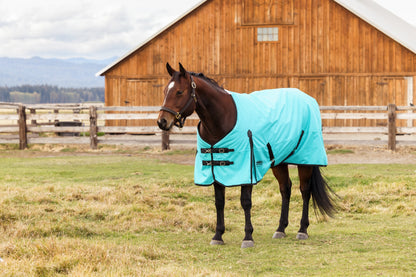 Weatherbeeta ComFiTec Original Turnout Standard Neck 220g
