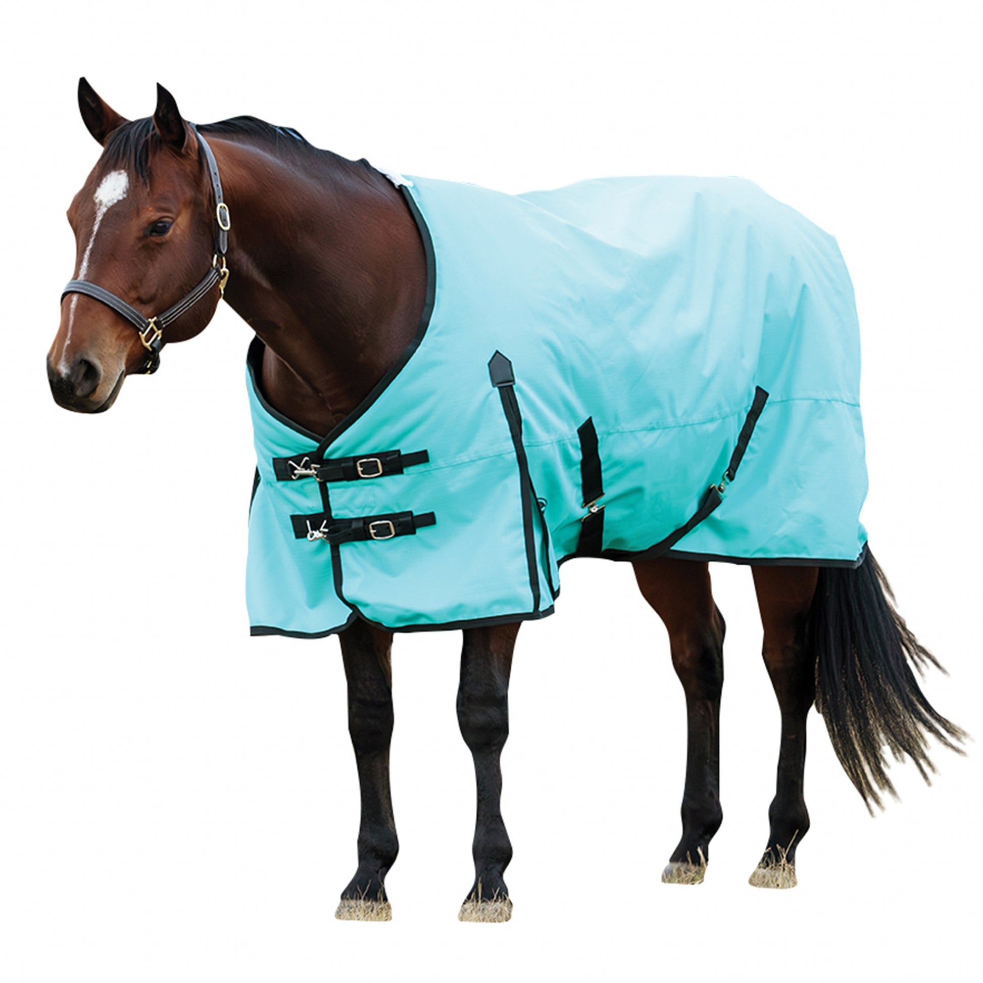Weatherbeeta ComFiTec Original Turnout Standard Neck 220g