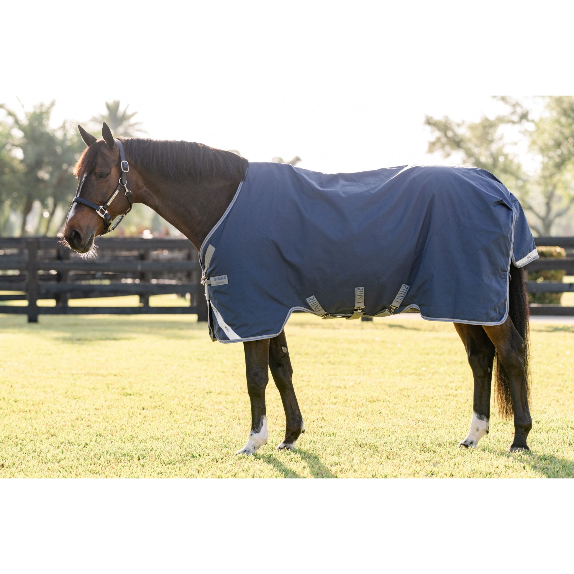 Rhino Pony Turnout 100g