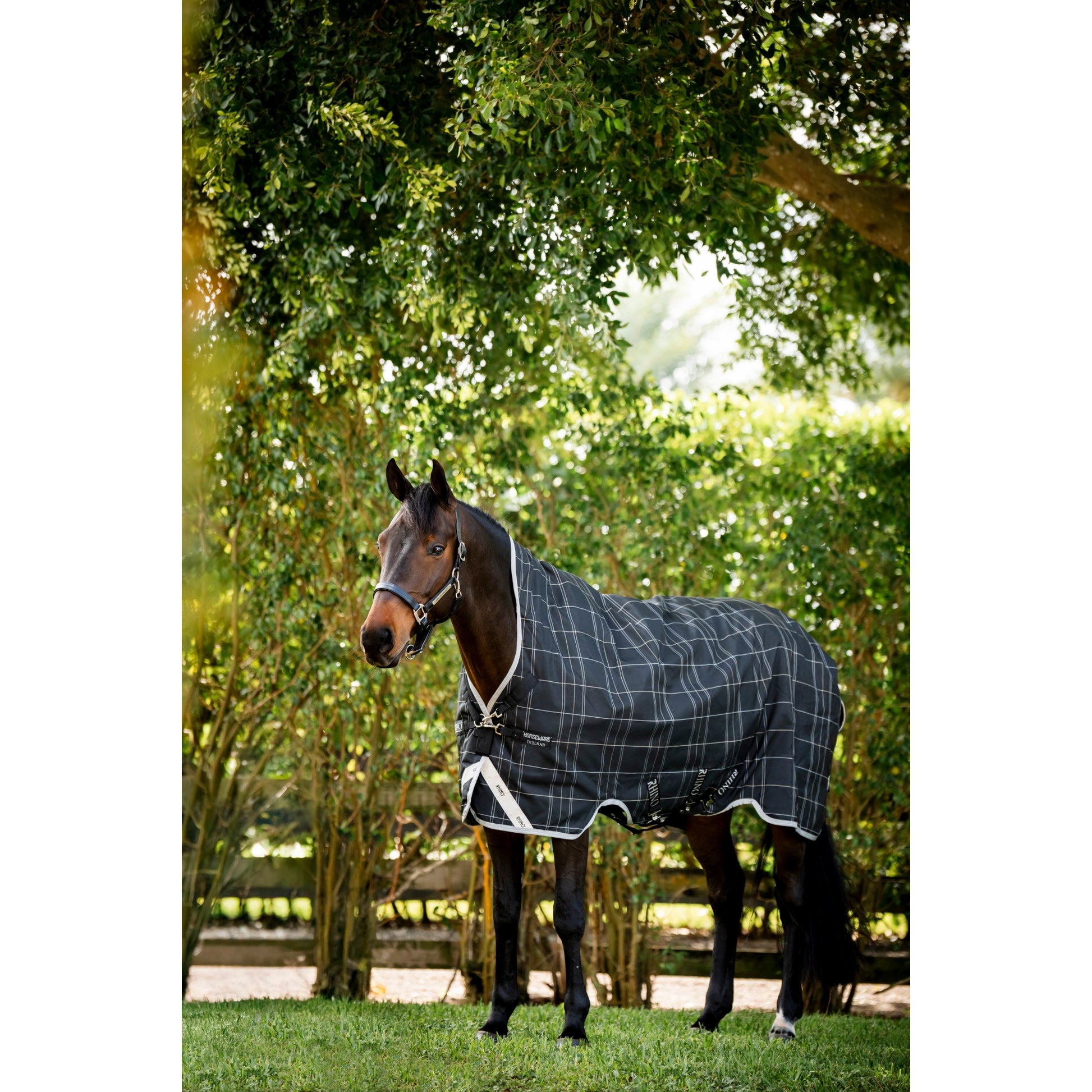 Rhino Wug Pony Turnout 0g