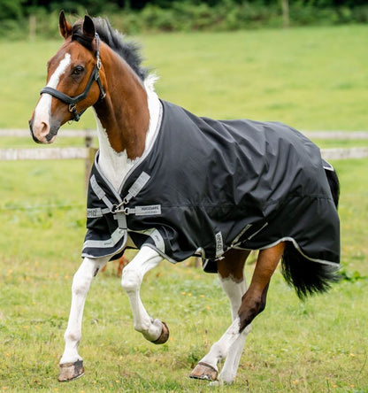 Amigo 1200D Turnout 50g