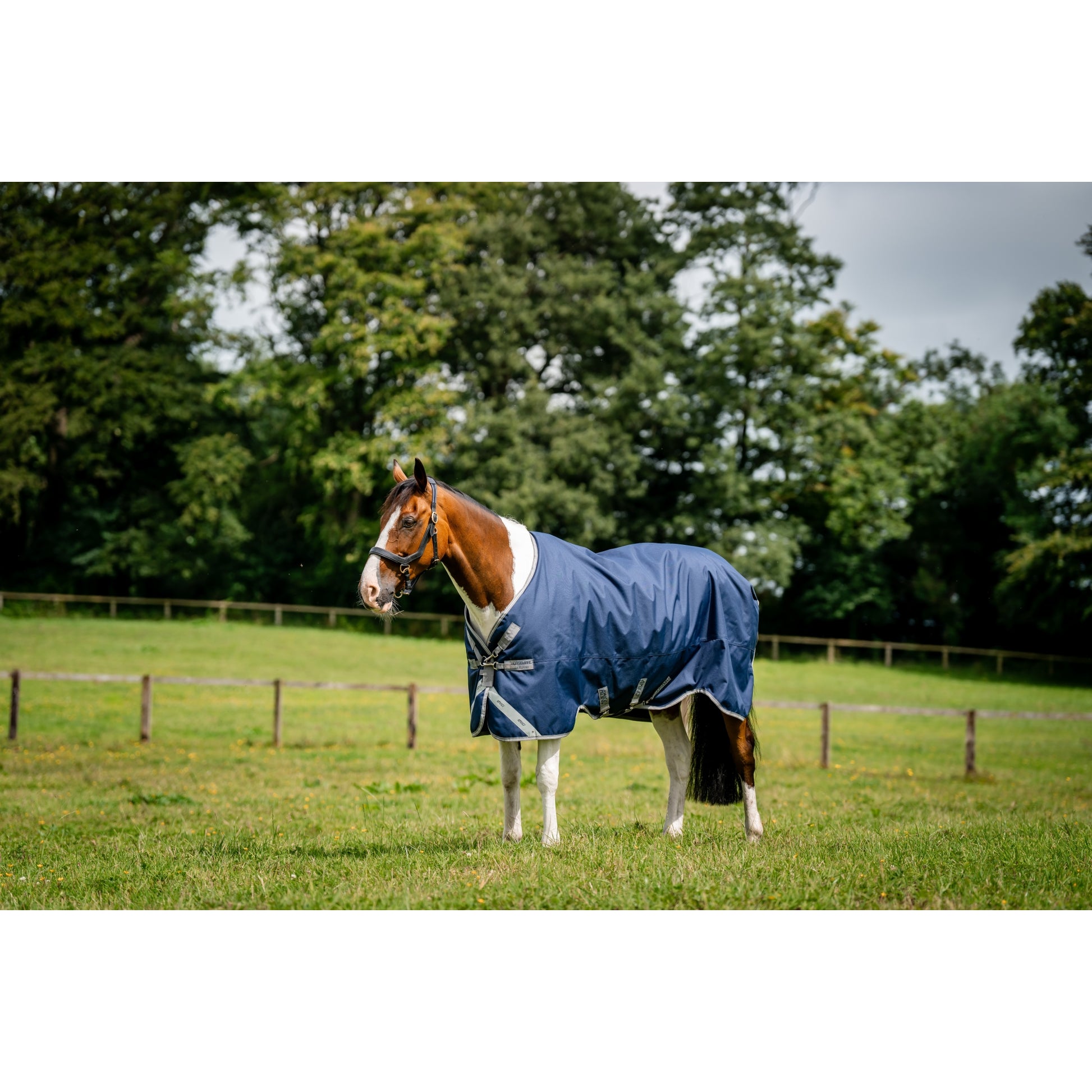 Amigo 1200D Turnout 250g