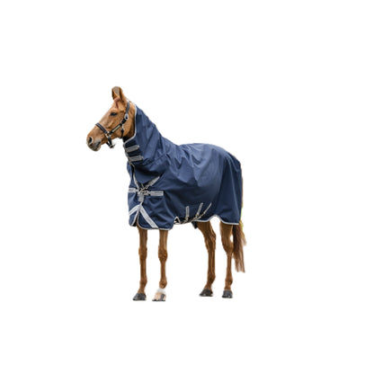 Amigo 1200D Integrated Turnout 50g