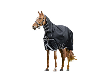 Amigo 1200D Integrated Turnout 50g