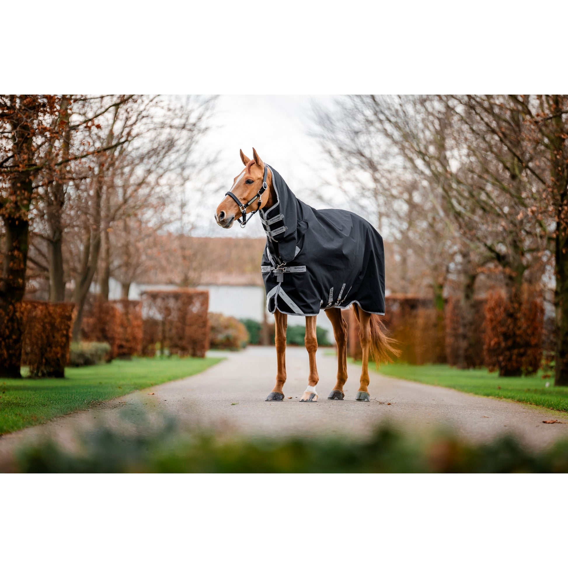 Amigo 1200D Integrated Turnout 150g