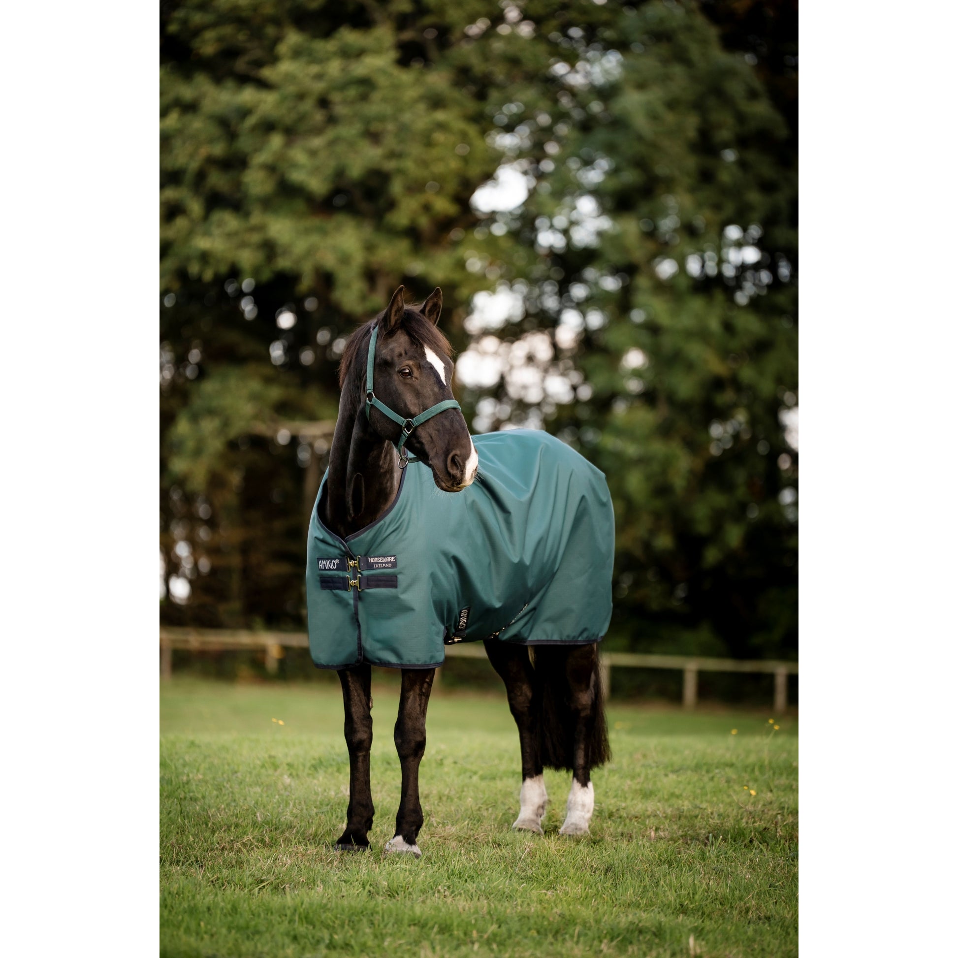 Amigo Ripstop 900D Turnout 200g