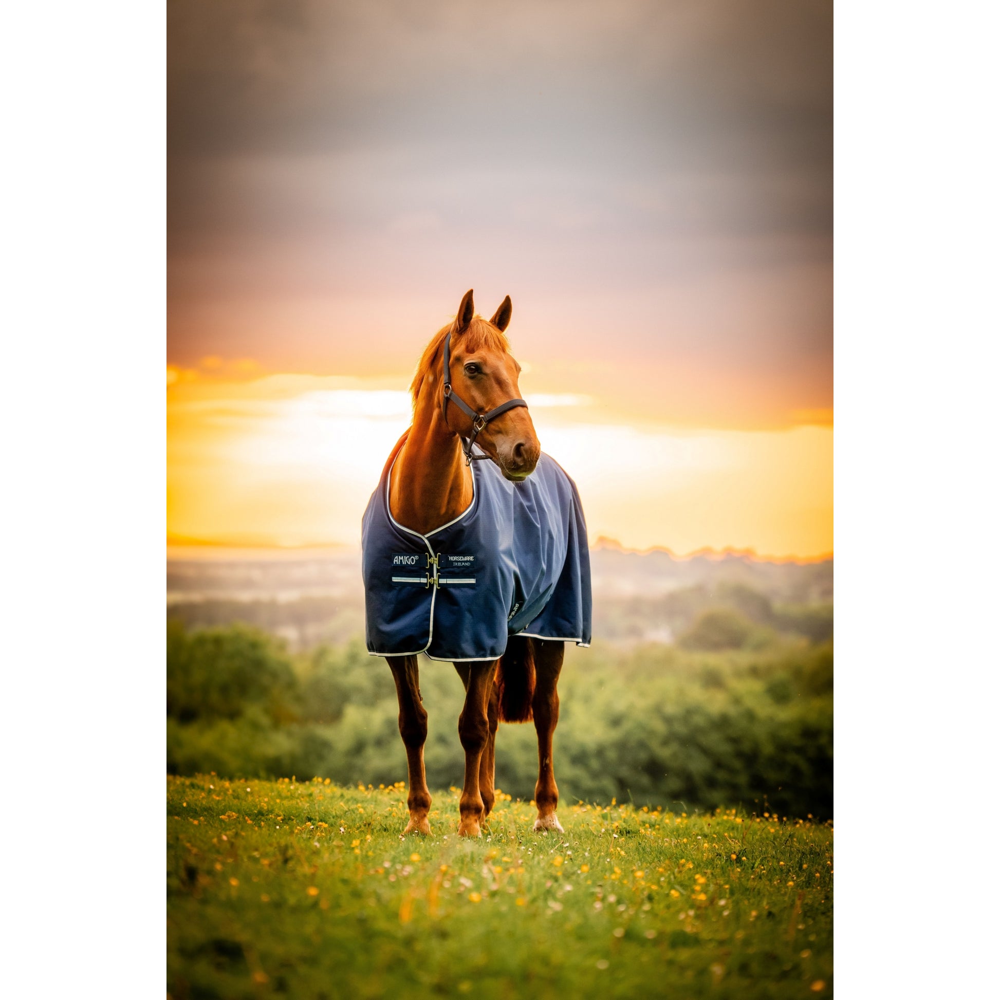 Amigo Ripstop 900D Turnout 200g