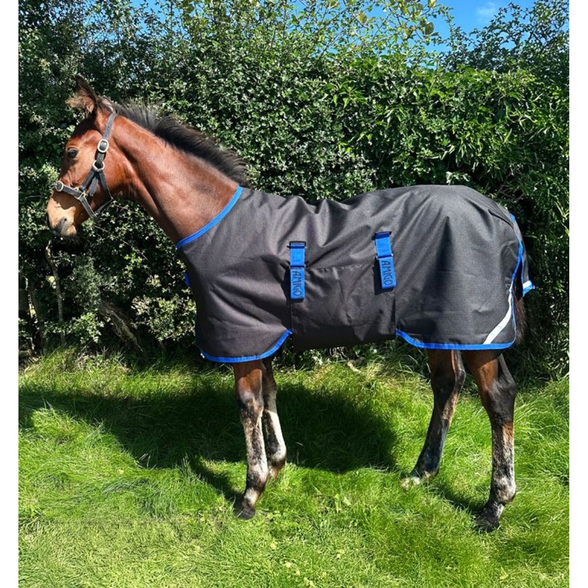 Amigo Ripstop 900D Foal Turnout 200g