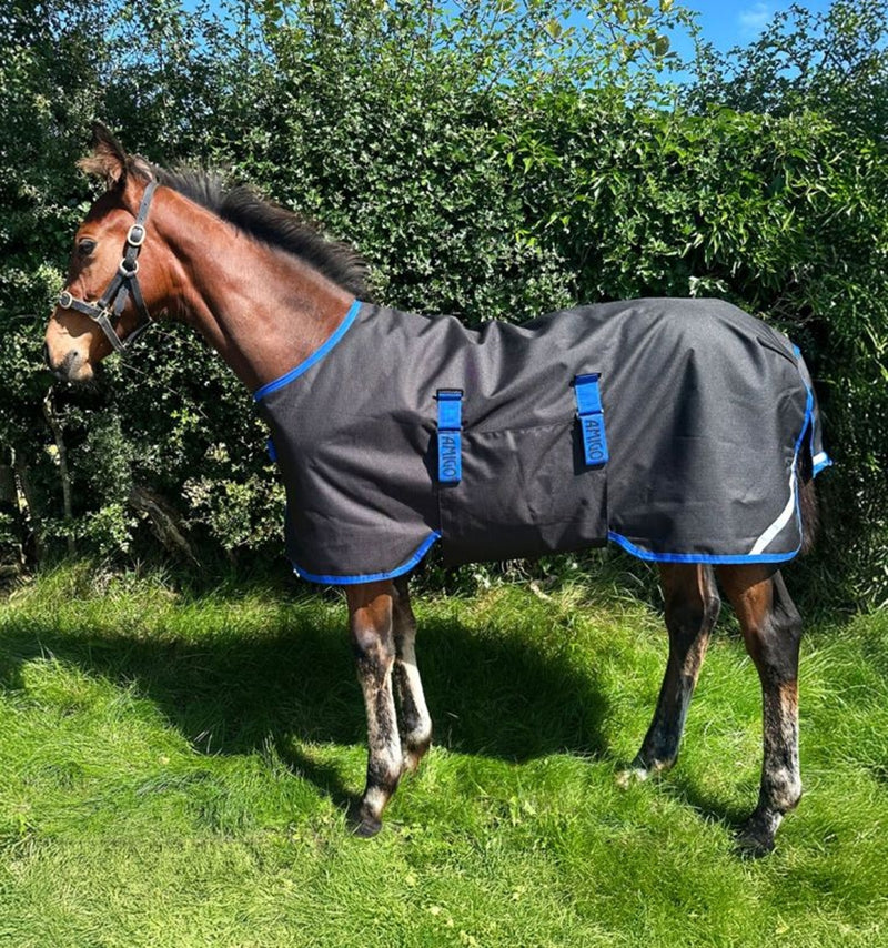 Amigo Ripstop 900D Foal Turnout 200g
