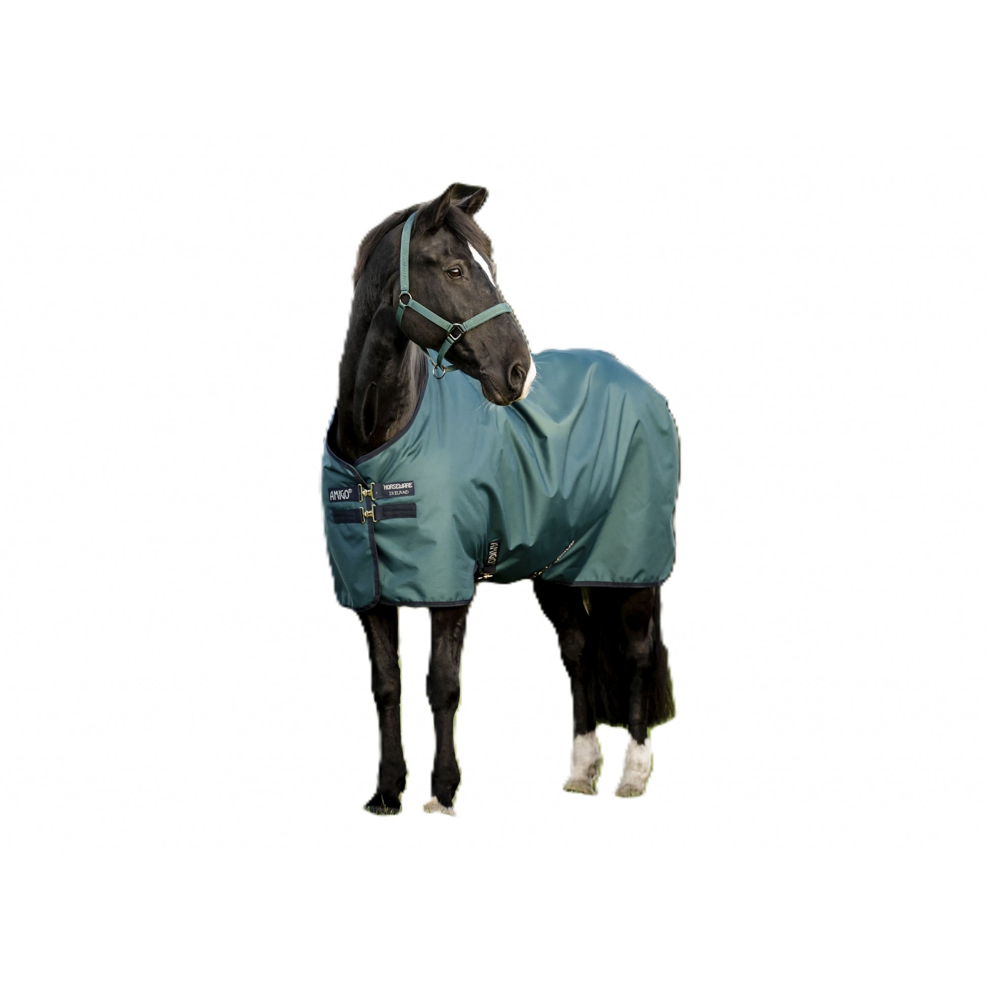 Amigo Ripstop 900D Pony Turnout 50g