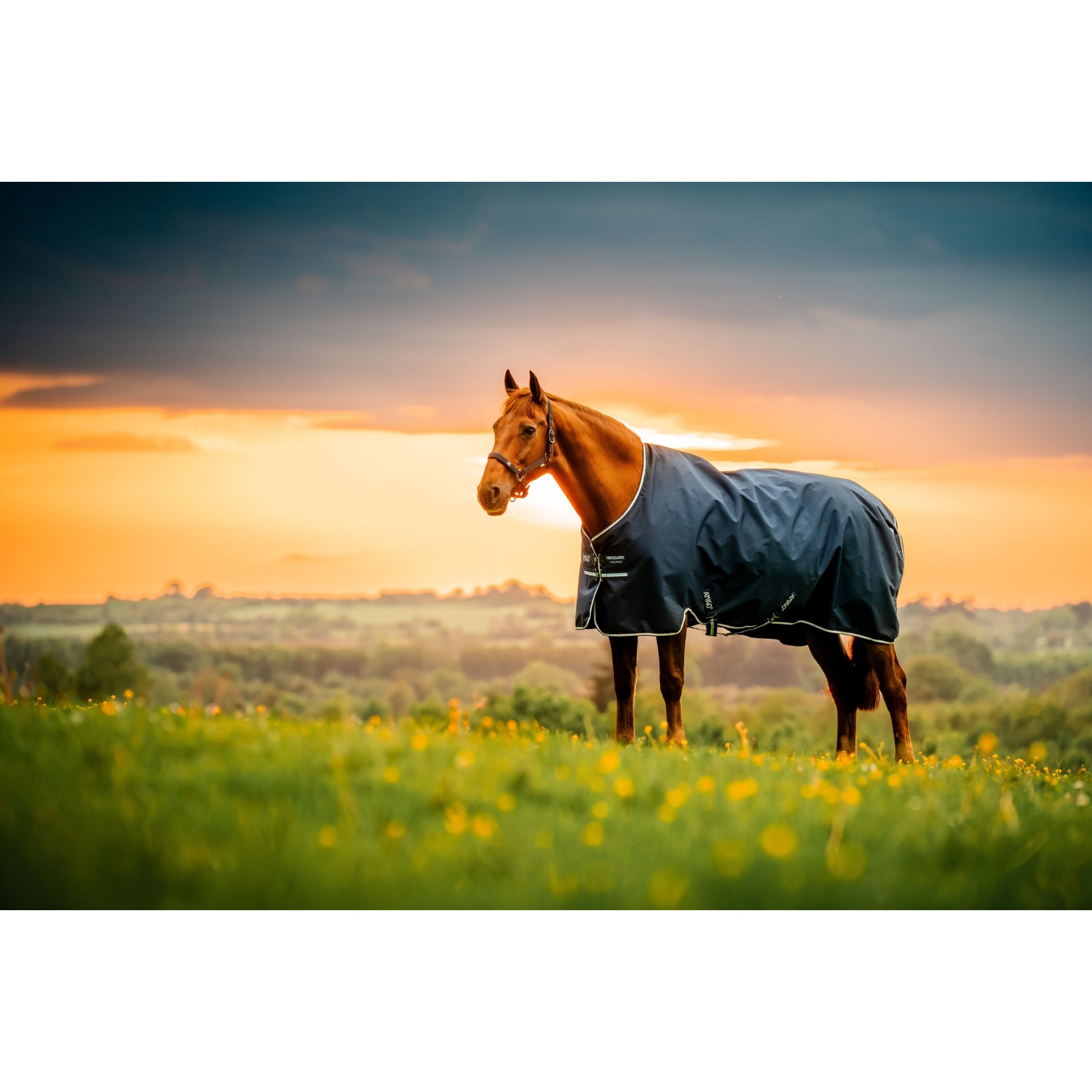 Amigo Ripstop 900D Pony Turnout 50g