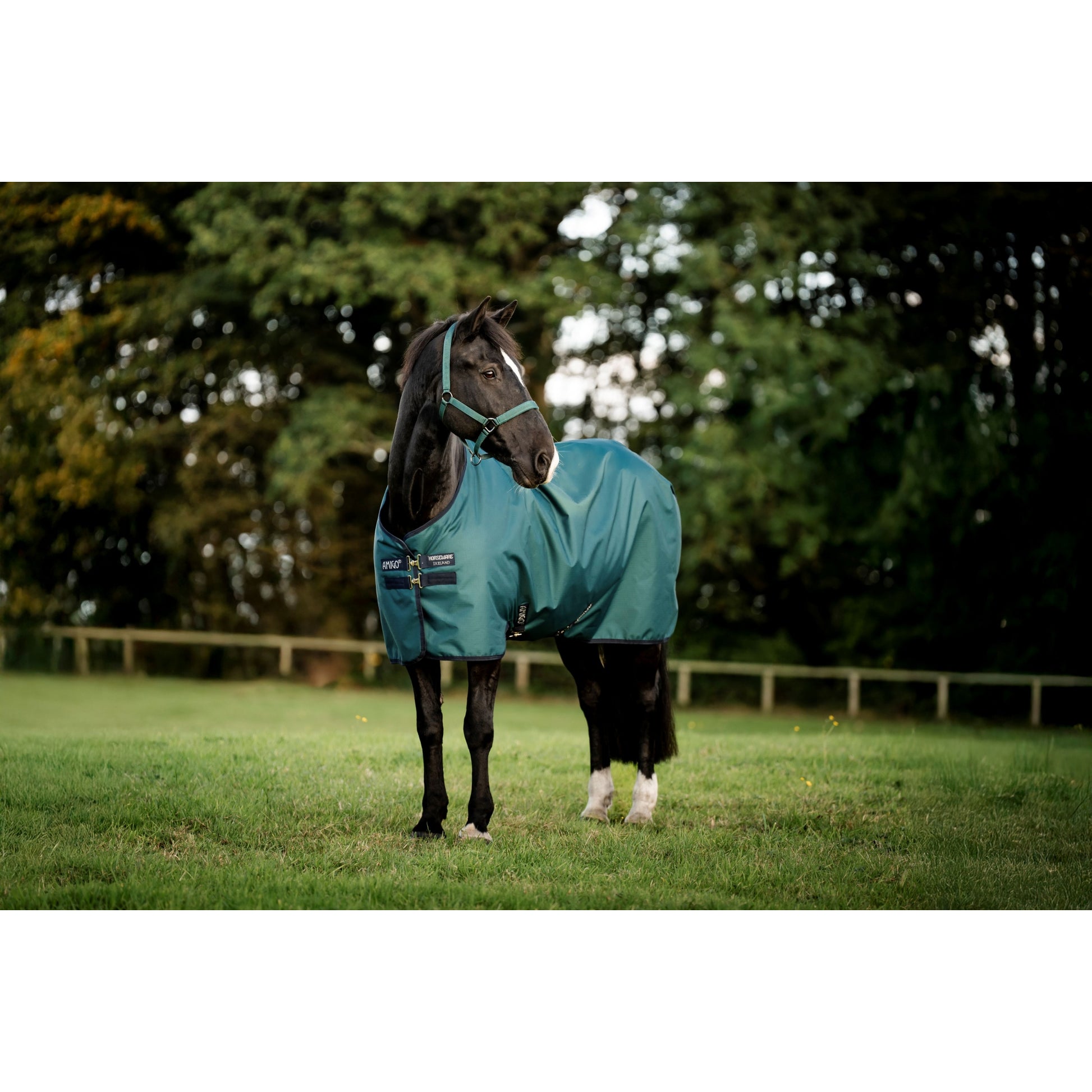 Amigo Ripstop 900D Pony Turnout 100g