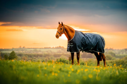 Amigo Ripstop 900D Pony Turnout 100g