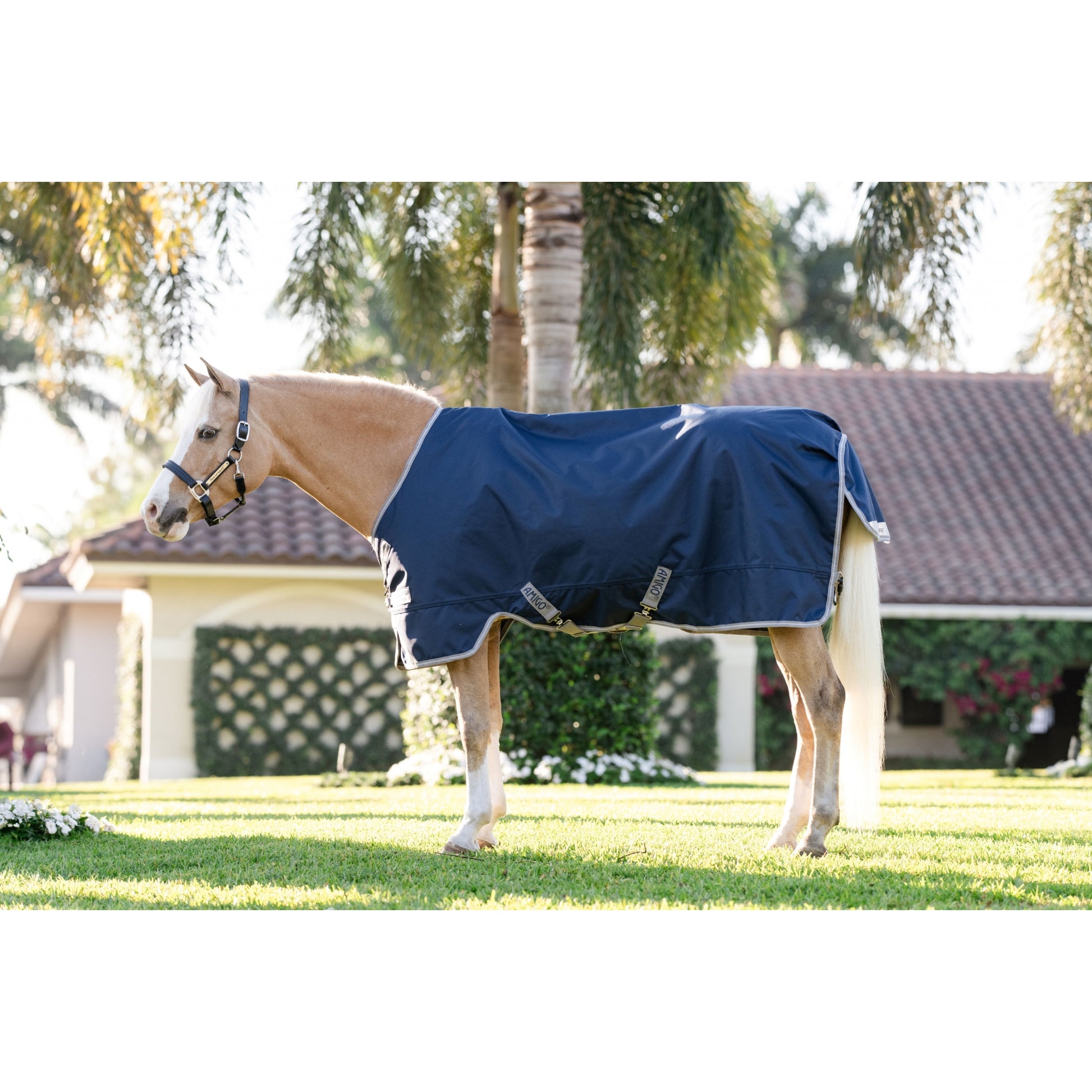 Amigo 1200D Pony Turnout 250g