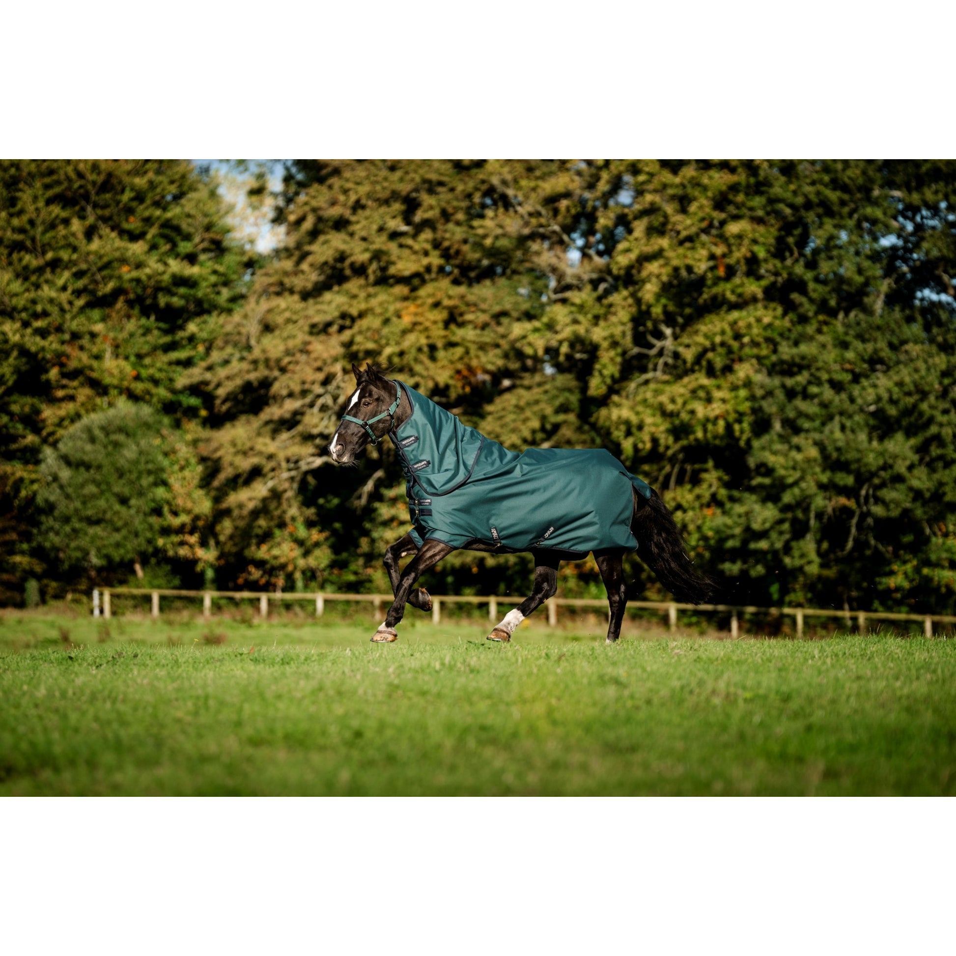 Amigo Ripstop 900D Plus Pony TO 100g