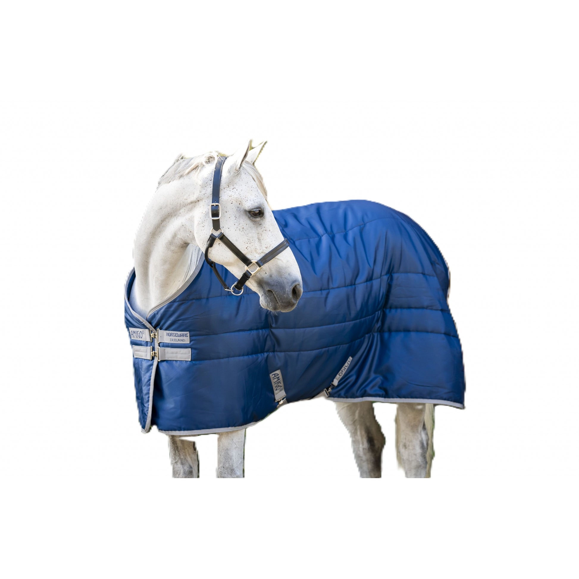 Amigo RS Insulator Pony Stable 100g