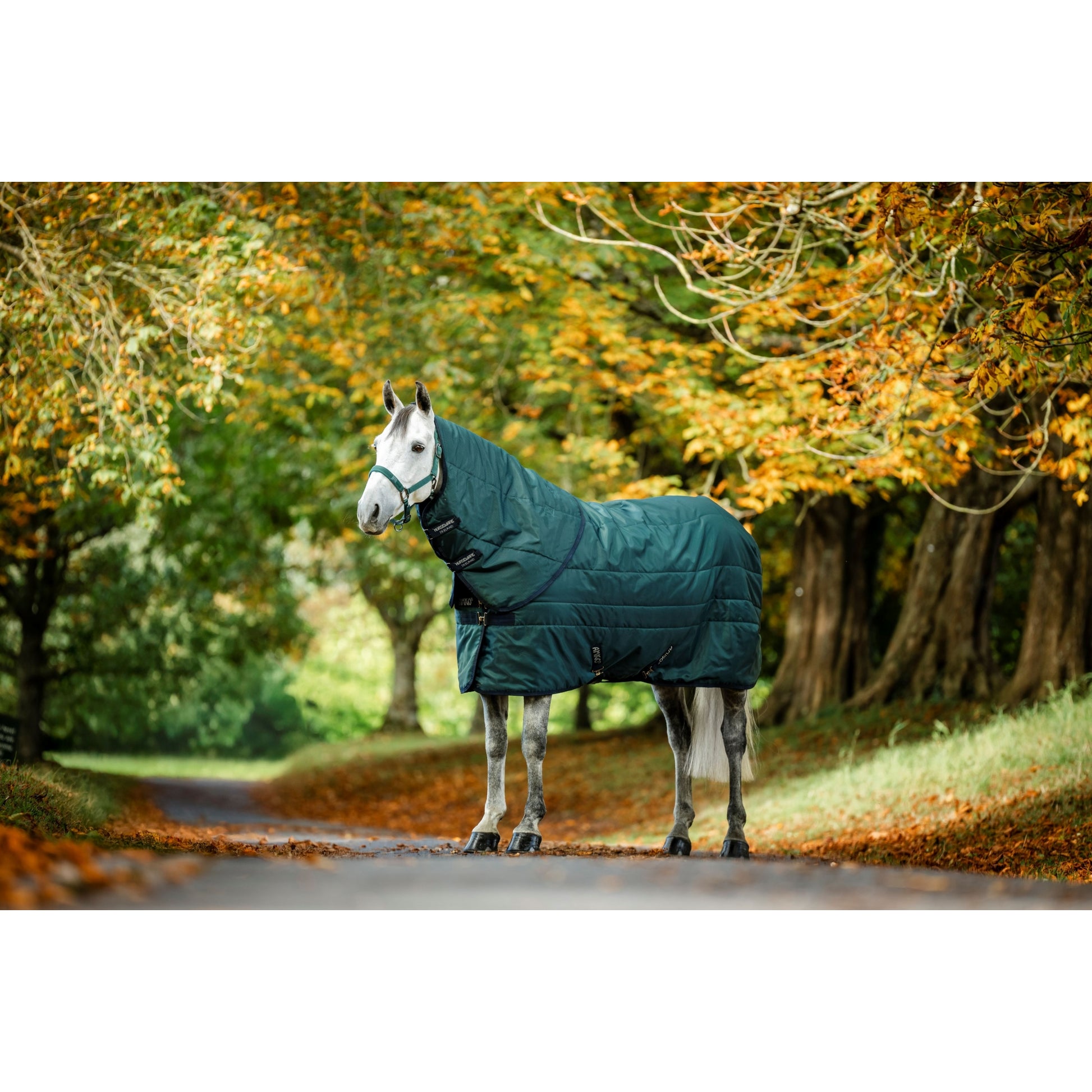 Amigo RS Insulator Stable Hood 200g