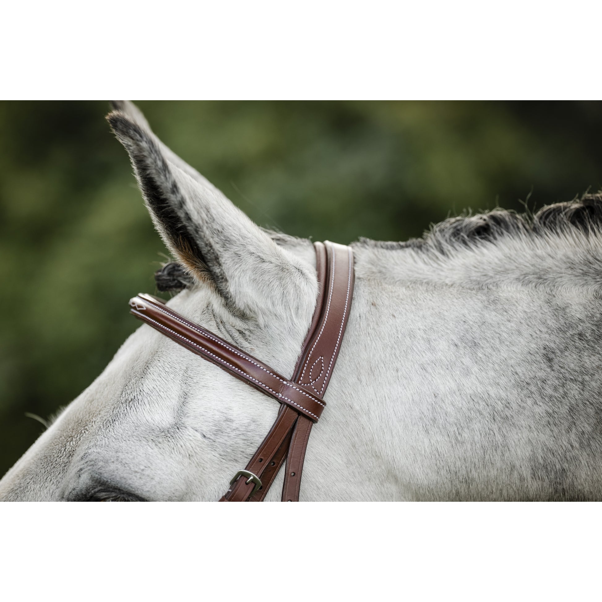 Horseware Hunter Cavesson Bridle