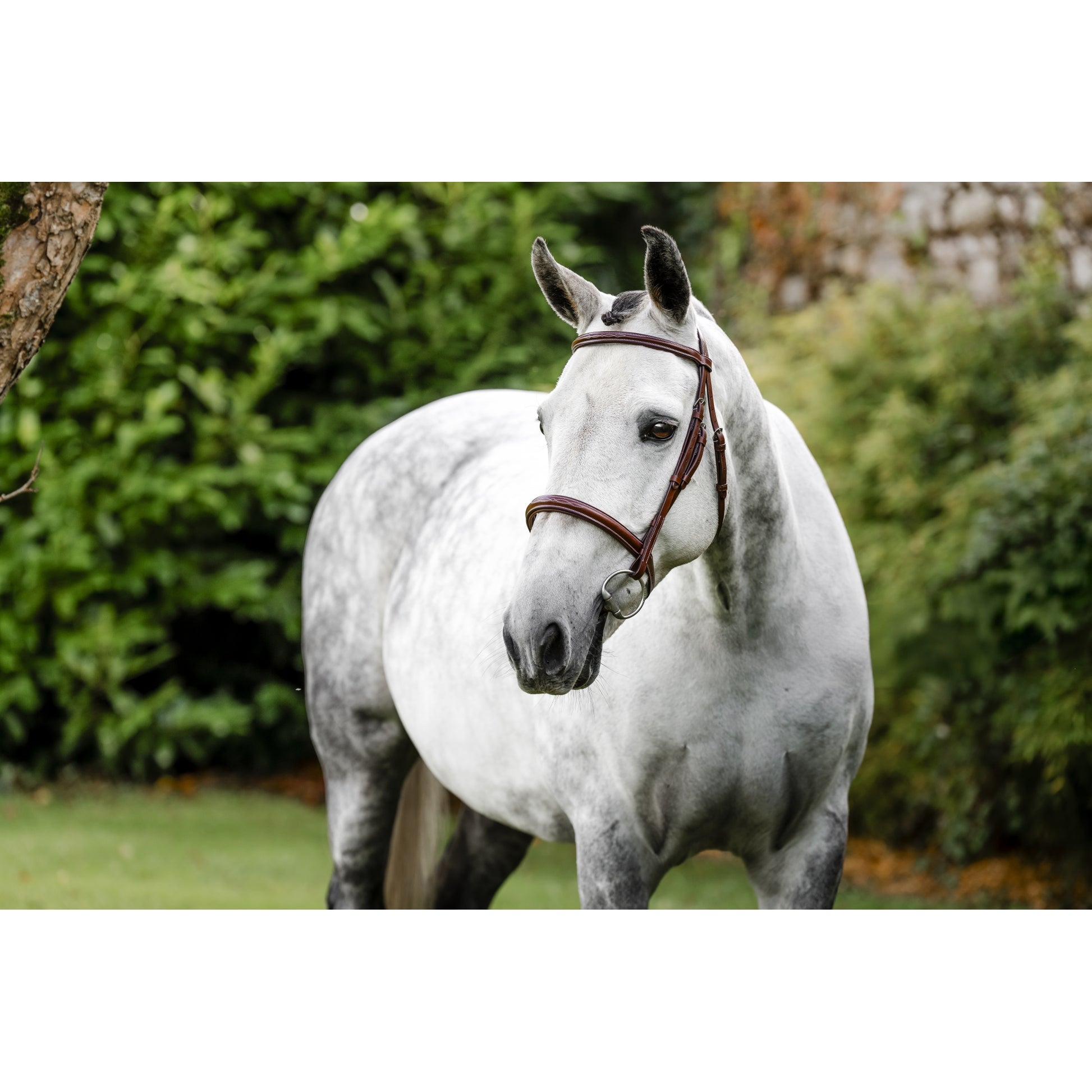 Horseware Hunter Cavesson Bridle